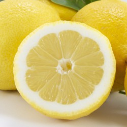Cassetta da 10 kg - limone bio