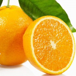 10 kg Kiste - Bio-Orange Valencia